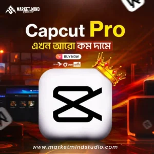 CapCut Premium Price In Bangladesh Subscription